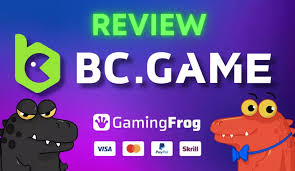 The Future of Online Gaming Exploring BC Game.im