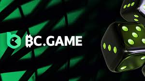 Exploring BC.Game A Comprehensive Overview of the Platform in India
