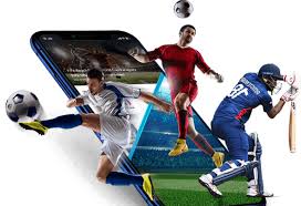 Apostas Online Conheça o Mundo da Betwinner